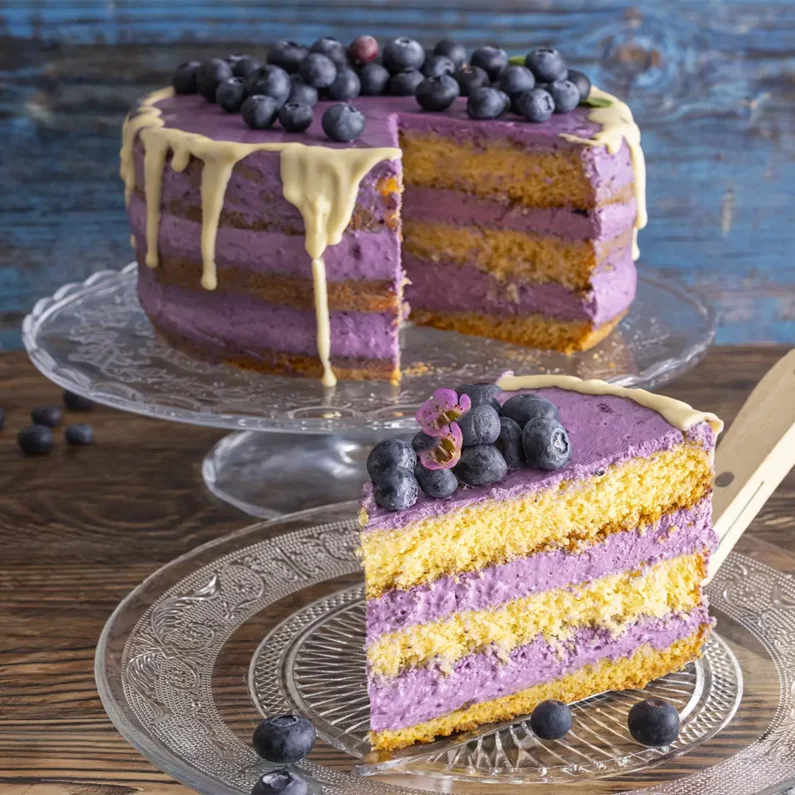 Torte mit Heidelbeercreme und frischen Heidelbeeren im SchlossFUN Seeburg